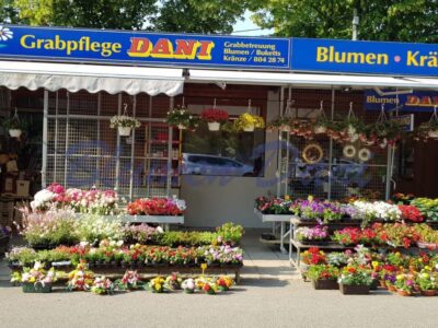 Blumen Dani - Wien