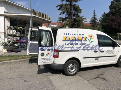 Blumen Dani - Wien