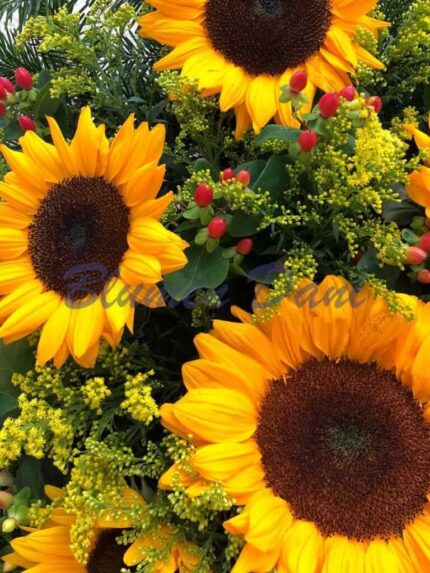 Bukett Sonnenblumen