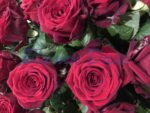 Bukett Rosen