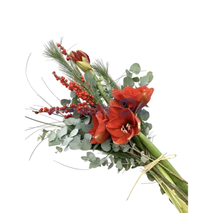 Amaryllis-Strauß