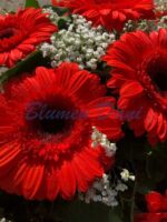 Gerbera-Kranz 2/3