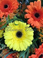 Gerbera-Kranz 2/3