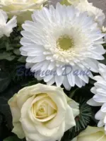 Gerbera-Rosen Kranz voll