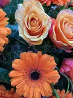 Gerbera-Rosen Kranz voll