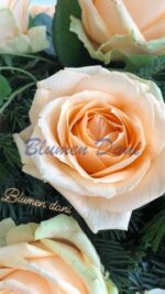 Rosen-Kranz voll