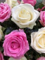 Rosen-Kranz voll